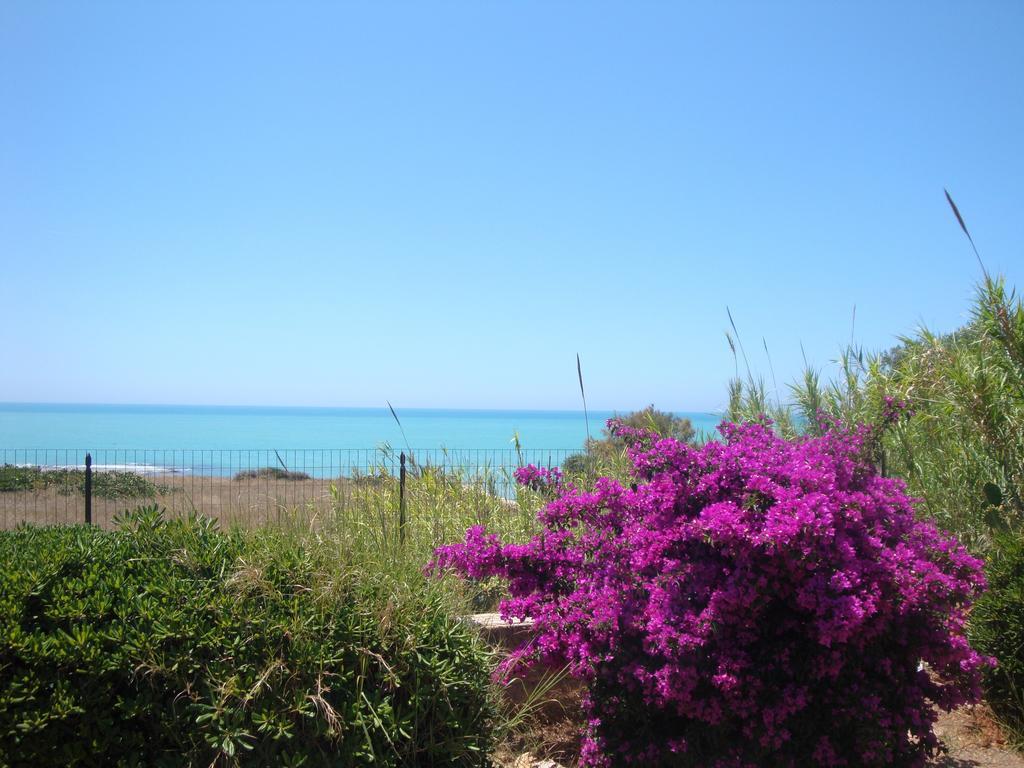 Cala Vigliena Il Sole Negli Occhi Villa Punta Braccetto Rom bilde
